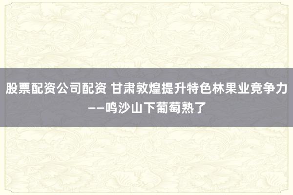 股票配资公司配资 甘肃敦煌提升特色林果业竞争力——鸣沙山下葡萄熟了
