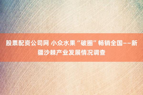 股票配资公司网 小众水果“破圈”畅销全国——新疆沙棘产业发展情况调查