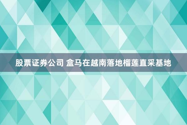 股票证券公司 盒马在越南落地榴莲直采基地