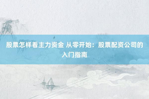 股票怎样看主力资金 从零开始：股票配资公司的入门指南