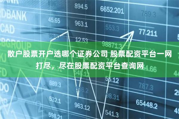 散户股票开户选哪个证券公司 股票配资平台一网打尽，尽在股票配资平台查询网