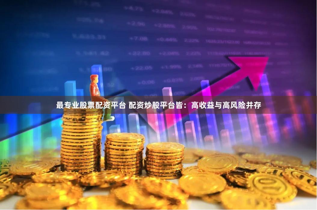 最专业股票配资平台 配资炒股平台皆：高收益与高风险并存
