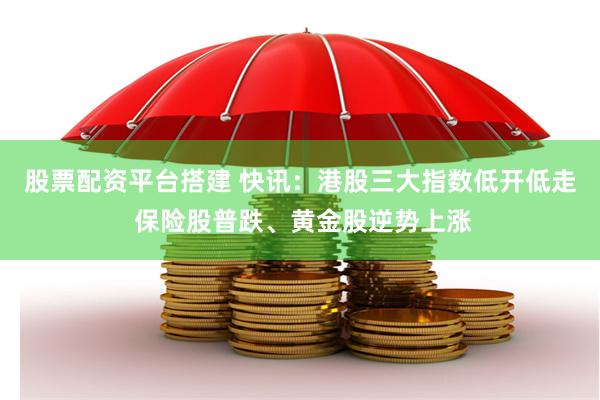 股票配资平台搭建 快讯：港股三大指数低开低走 保险股普跌、黄金股逆势上涨