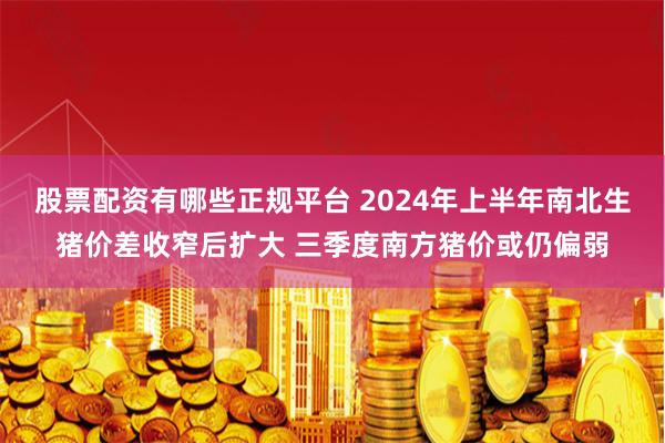 股票配资有哪些正规平台 2024年上半年南北生猪价差收窄后扩大 三季度南方猪价或仍偏弱